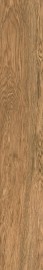 Simple Light Brown